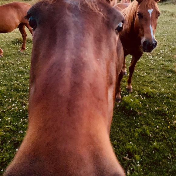 😃Hello there & Welcome...... - Picture 9 of 15